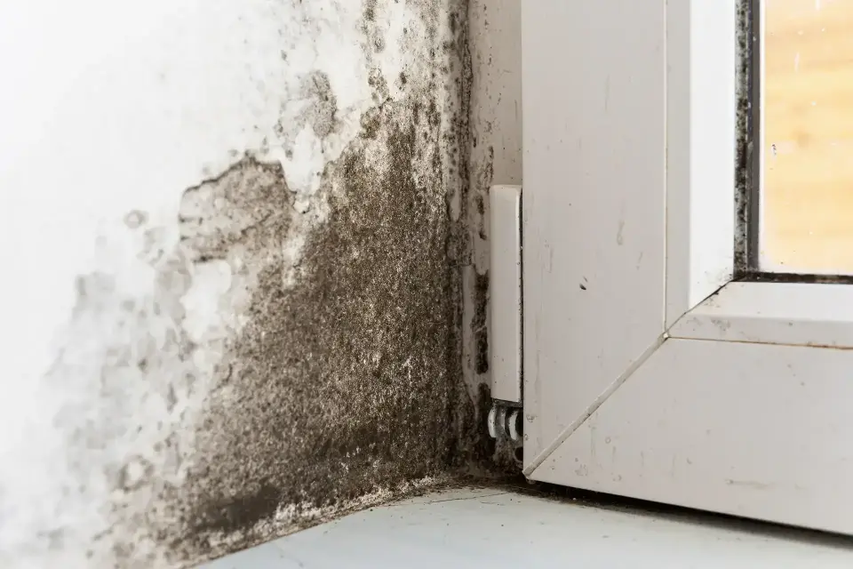 Arlington's Leading Water Damage Restoration Company — Arlington, TX